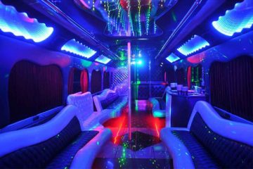 18 Passenger party bus rental Las Vegas